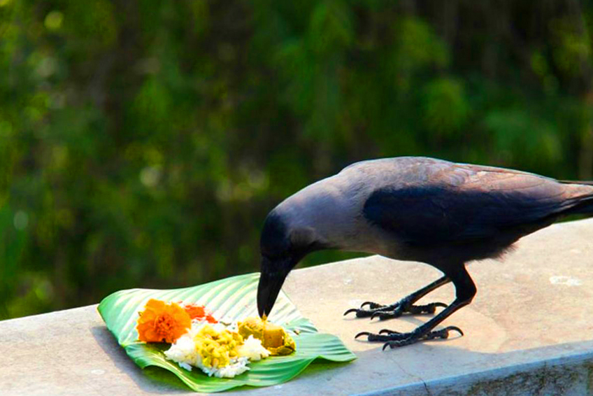Pitra Shanti Puja
